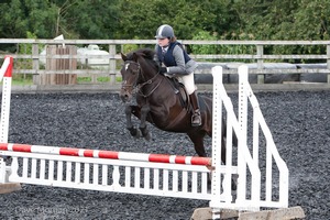 Class 5 - Fences not above 2'6